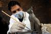 Novo odkritje v Egiptu: mumije mačk in redka najdba mumificiranih skarabejev