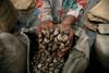 Ukrep predsednika Tanzanije: Vojska mora odkupiti vse indijske oreščke