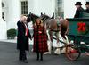 Foto: Zakonca Trump v Belo hišo že sprejela veličastno novoletno jelko