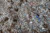 Azori: Namesto čistih plaž kupi mikroplastike