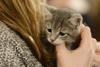 Mačja junakinja: Z mijavkanjem družini rešila življenje