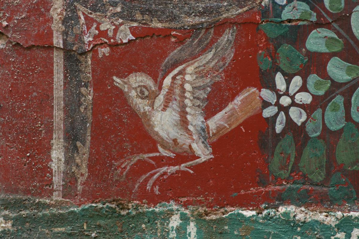 Na spodnjem, ohranjenem delu fresk so naslikane ptice, maske in girlande. Foto: PMC