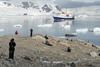 Vse več popotnikov se odloči silvestrovati na Antarktiki