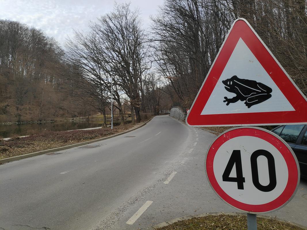 Prometni znak, ki opozarja na žabe na cesti. Foto: Radio Maribor/Lidija Cokan