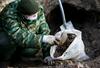 Belorusija: Na gradbišču odkrili množično grobišče Judov