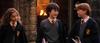 Harry Potter na grmadi: skesani duhovnik se je opravičil za svoje dejanje