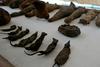 Foto: Mumificirane miši, mačke in sokoli v pred kratkim odkriti egipčanski grobnici