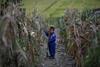 Štirideset odstotkov Severnih Korejcev pesti huda lakota