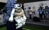 Razvili robota, ki lahko dnevno obere 25.000 malin
