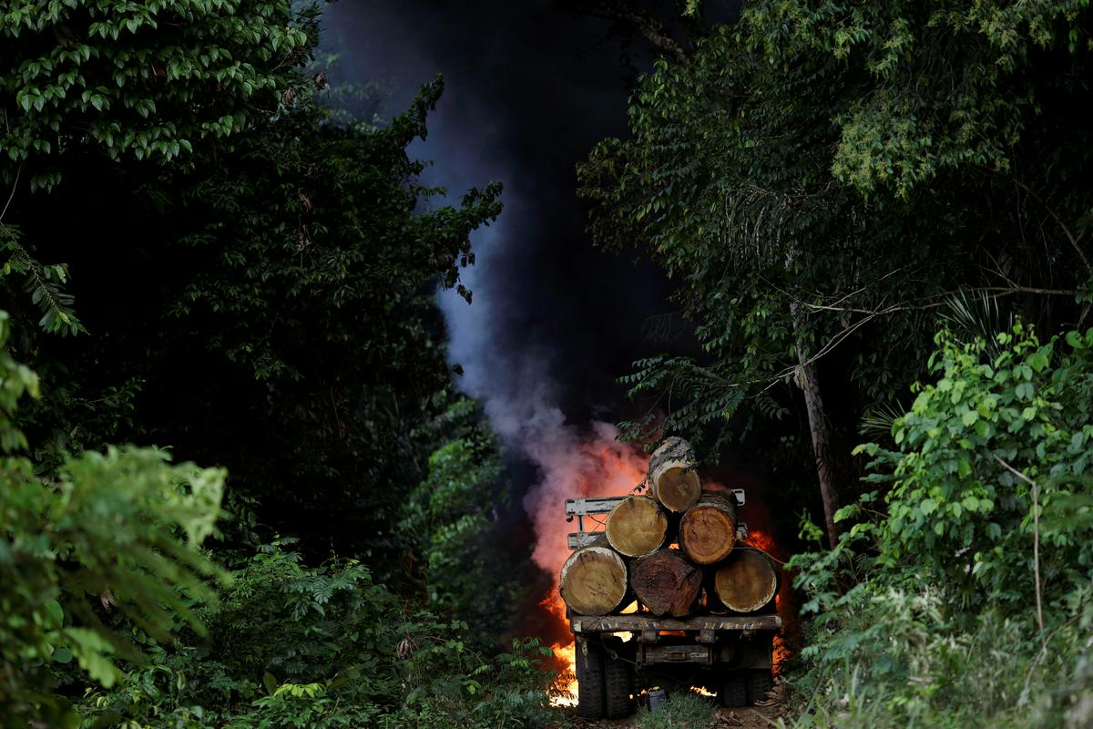 Večina Brazilcev živi v mestih, zato se večini zdi izginjanje gozda na tisoče kilometrov stran težava, ki se jih ne dotakne. Televizijska hiša Globo je zato posnela serijo Aruanas, ki govori o treh nevladnikih, ki se bojujejo proti nezakonitemu rudarjenju v Amazoniji – glej spodnji napovednik za serijo. Foto: Reuters