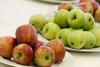 Po rekordni letini letos za tretjino manj jabolk in hrušk