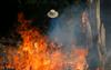 Bolsonaro: Za požare so krive 