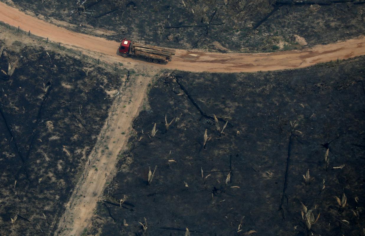 Letos je bilo uničenih skoraj 9.000 kvadratnih kilometrov pragozda. Foto: Reuters