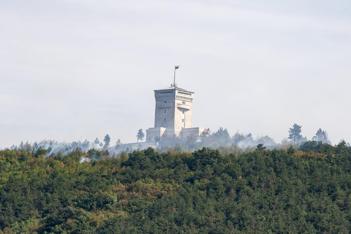 Leta 2019 je na Cerju izbruhnil požar, pogorelo je sto hektarov borovega gozda in listavcev. Foto: Marjana Grčman
