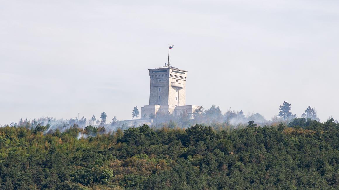 Leta 2019 je na Cerju izbruhnil požar, pogorelo je sto hektarov borovega gozda in listavcev. Foto: Marjana Grčman
