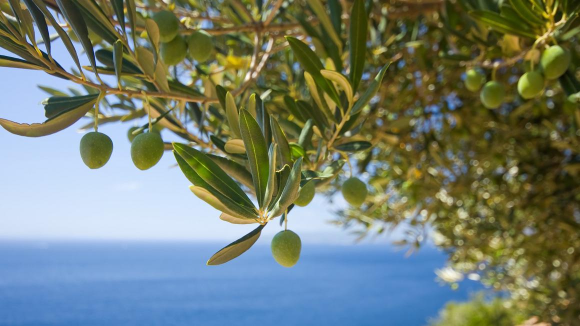 Projekt Soljke je nastal z uspešno prijavo na razpis Las Istre. Foto: Pixabay