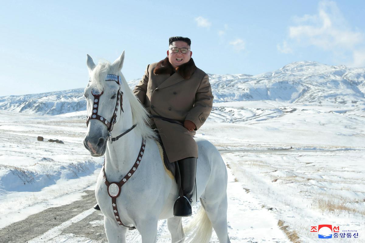 Beli konj, na katerem je Kim odjezdil na vrh gore Paektu, je močan simbol v marsikateri mitologiji – med drugim nosi ključne svetnike ali odrešenike sveta v največjih svetovnih religijah. Foto: Reuters