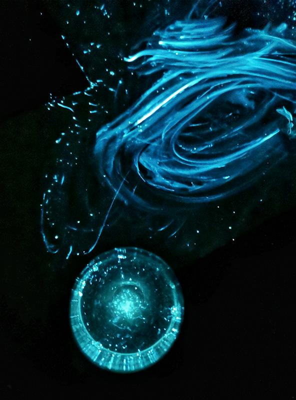 Igra svetlobe z Leonovim planktonom, ki ga zdaj uporablja na desetine restavracij po vsem svetu. Foto: MMC RTV SLO/Kaja Sajovic