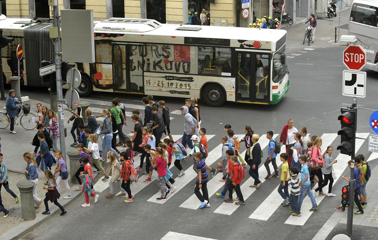 Strategija prometa v Republiki Sloveniji do leta 2030 navaja, da je rešitev v integriranem javnem prometu, pri katerem je železnica hrbtenica, avtobusi in druga prometna sredstva (sistem P+R, kolo) pa jo napajajo in dopolnjujejo. 