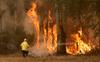 V Avstraliji smrtonosni požari – enega naj bi podtaknil 16-letnik