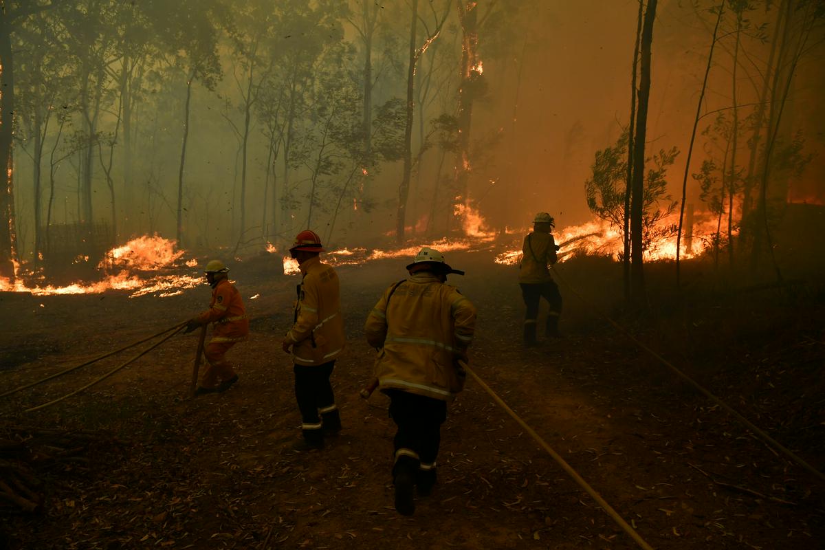 Znanstveniki in nekdanji poveljniki gasilcev so požare, ki divjajo v Avstraliji, povezali s podnebnimi spremembami, kar premier zanika. Foto: Reuters