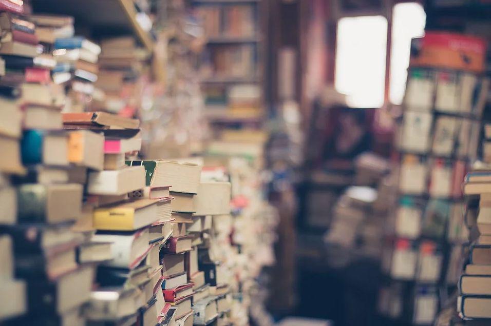 Izposoja Dnevnika Ane Frank v slovenskih knjižnicah v zadnjih dobrih 25 letih stalno narašča. Foto: Pixabay