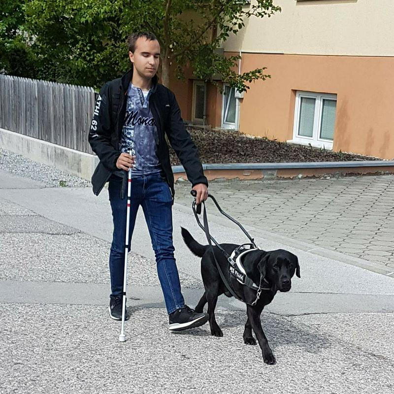 Na fotografiji je Miha Srebrnjak, ob njem hodi njegov pes vodnik črni labradorec Dante. Miha drži povodec v levi roki, v desni pa ima belo palico. Foto: Osebni arhiv