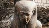 Redka najdba v Egiptu: Ramzes II. iz rožnatega granita
