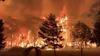 Na vzhodu Avstralije divja več deset gozdnih požarov, 40 odstotkov Fraserjevega otoka zgorelo