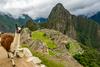 Kako veliko grožnjo Machu Picchuju predstavlja gradnja letališča?