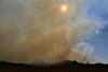 V Canberri zaradi gozdnih požarov izredne razmere