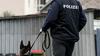 Avstrijskim policistom priznal, da je s sekiro ubil materinega partnerja