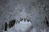 Močno sneženje v Bolgariji in Srbiji, silovita burja na Hrvaškem