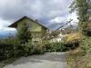 Močan veter največ škode povzročil na območju Slovenske Bistrice