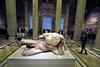 Grčija zanika, da vrnitev Partenonskih kipov veže na pogajanja o brexitu