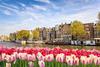 Nizozemska – cvetoča kraljevina z mlini na veter, velikimi umetniki in neskončno svobode