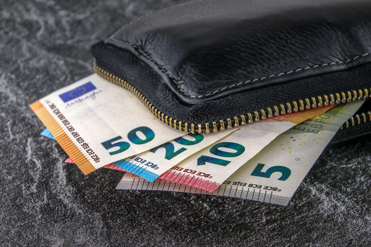 Denarnica, iz katere kukajo bankovci. Foto: Pixabay