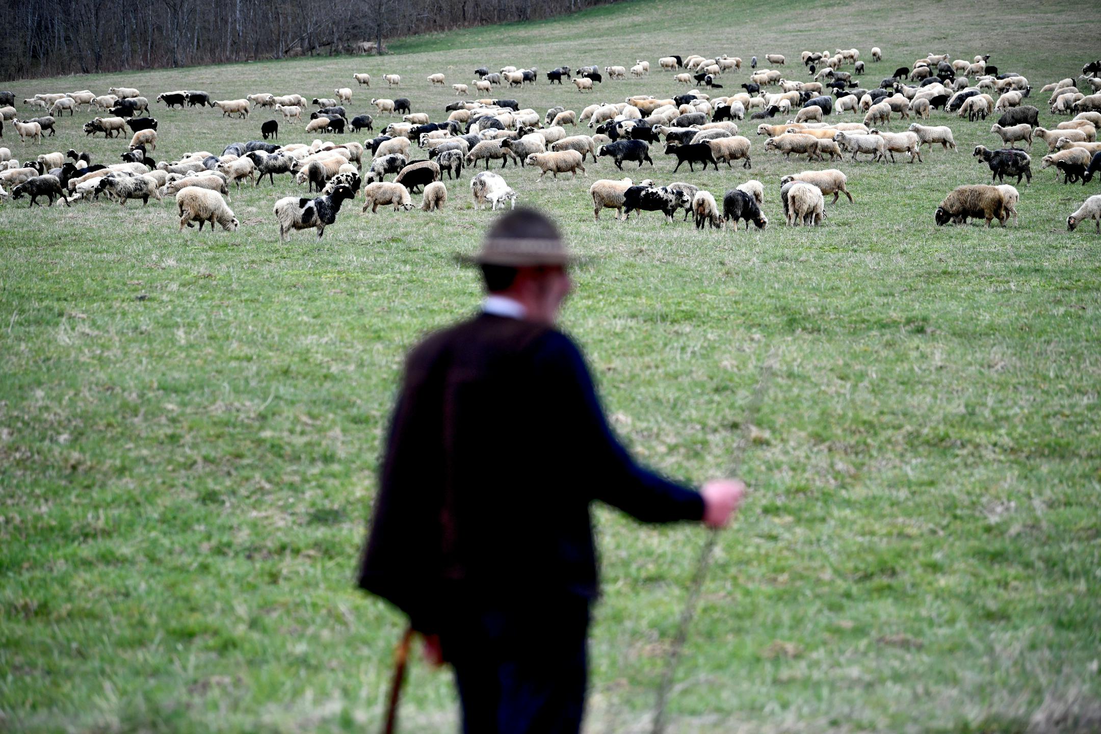 Slovenija sodeluje v večnacionalnem predlogu za vpis alpske prehranske dediščine v Unescov register