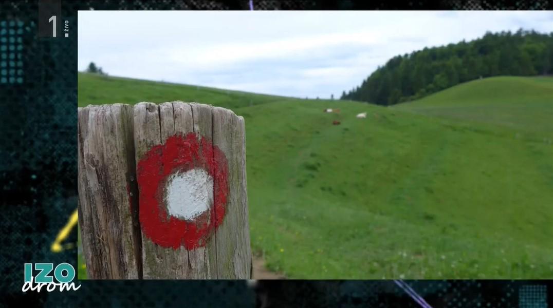 Markacija je znak, ki označuje planinsko ali pohodniško pot. V Sloveniji se za označevanje planinskih poti uporablja markacija z belo piko, obdano z rdečim kolobarjem, imenovana po Alojzu Knafelcu. Foto: TV Slovenija