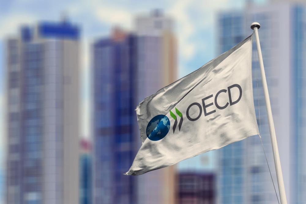 OECD združuje 36 gospodarsko razvitih držav, ki oblikujejo svetovne standarde in načela v gospodarskih in razvojnih politikah. Foto: Shutterstock
