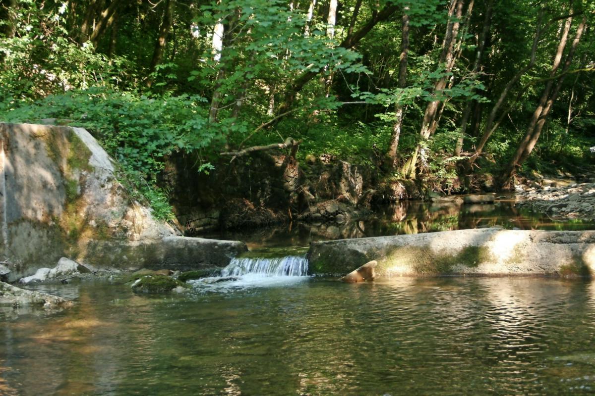 Potok Suhorca ali Padež. Foto: Primorske novice