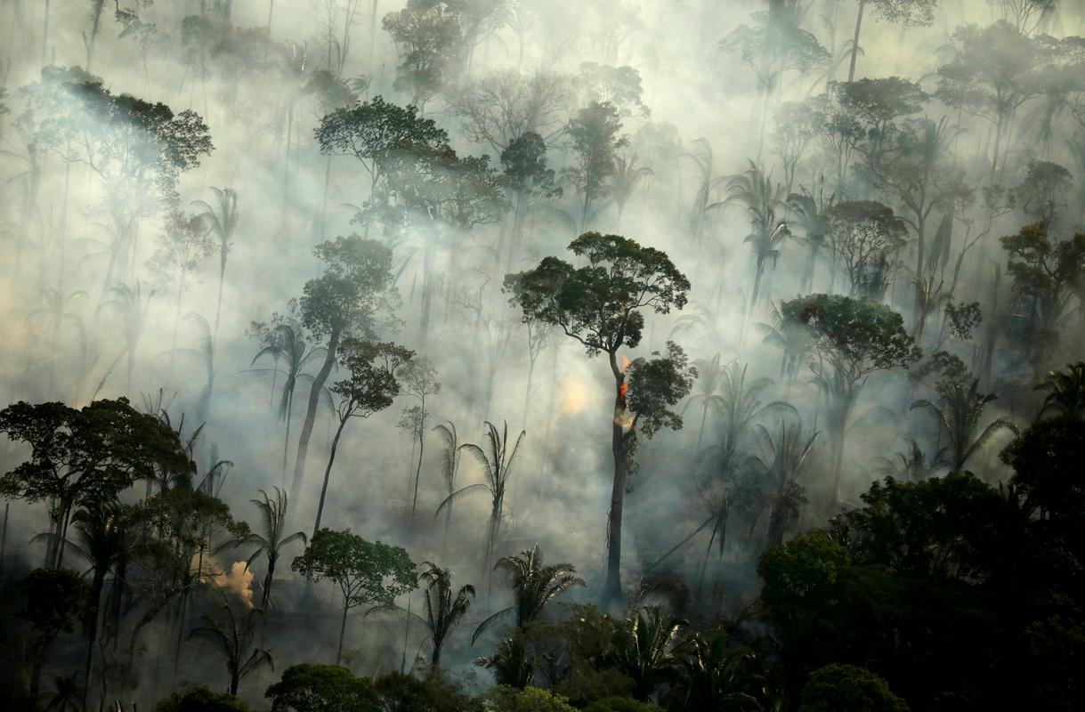 Amazonija je znova v plamenih. Foto: Reuters
