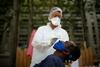 WHO: Pandemija se umirja, izjemi jugovzhodna Azija in vzhodno Sredozemlje