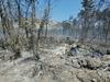 Gasilci nadzirajo požarišče nad Dolgo Poljano pri Ajdovščini