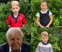 (Kraljevski) otroci dobili priložnost: Imate vprašanje za slovitega Davida Attenborougha? 