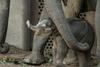 V danskem živalskem vrtu so se (končno) razveselili slonjega mladiča