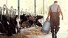 Noveli zakona o zaščiti živali se obeta podpora, kmetje napovedujejo ustavno presojo