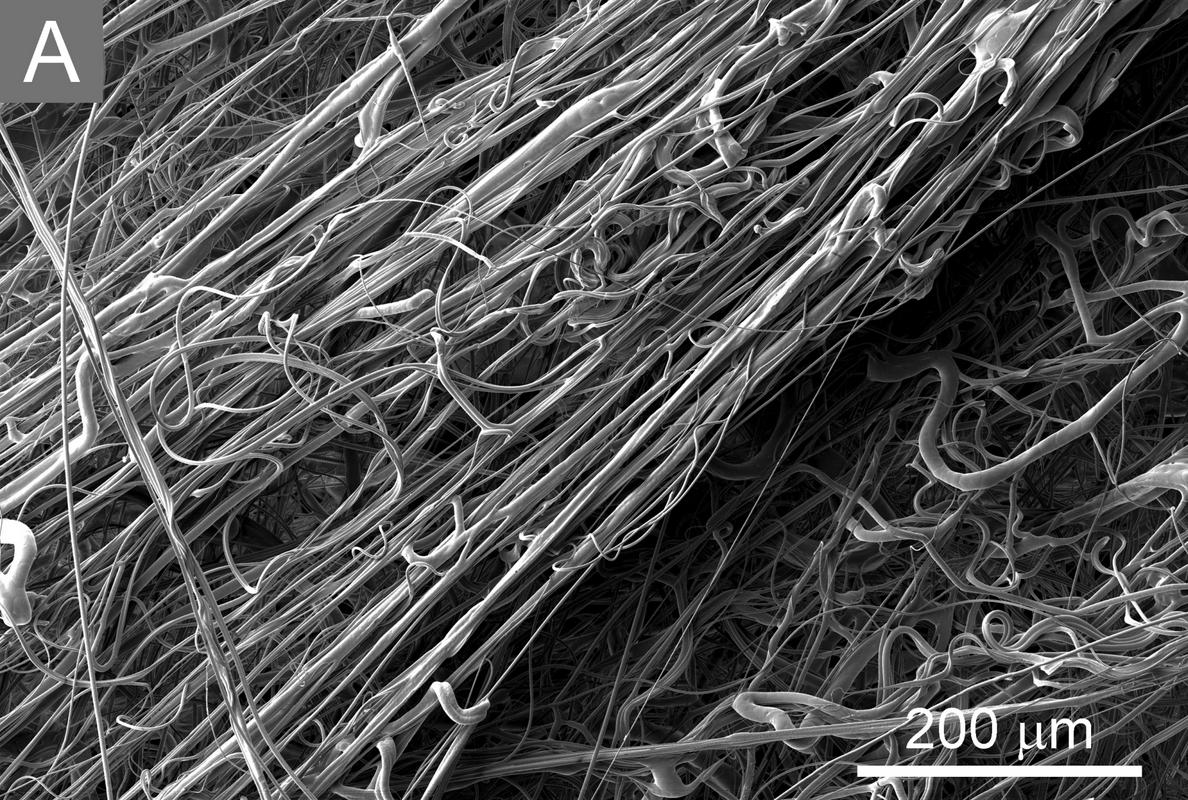Slika polipropilenskih vlaken v FFP3-filtru, narejena z vrstičnim elektronskim mikroskopom. Foto: IJS