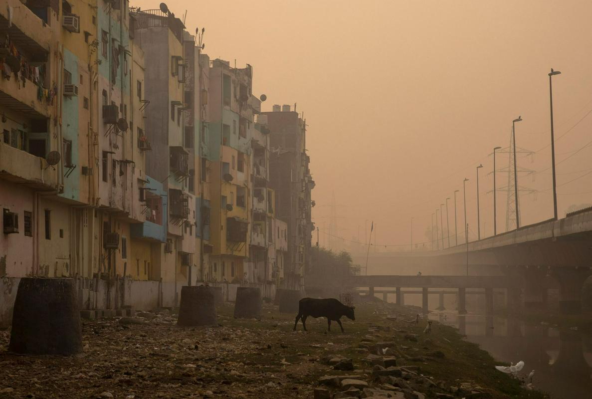 Smog v New Delhiju v Indiji. Foto: Reuters