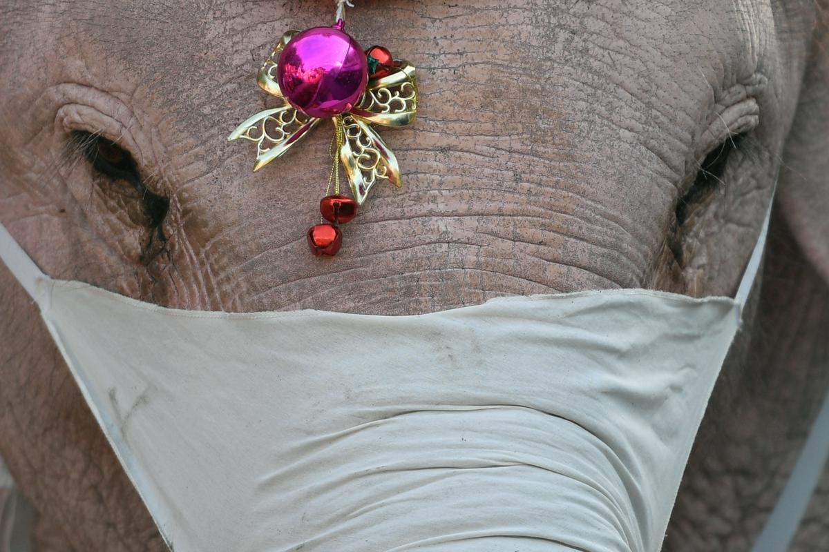 Tajski božič brez turistov. Foto: Reuters